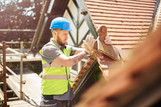 Best Roof Repair Services  in Broadview, IL